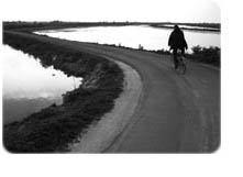 Relaxing on Ile de Re with a bicycle ride after a great massage